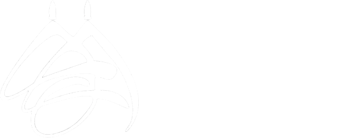 Biryani Mahal